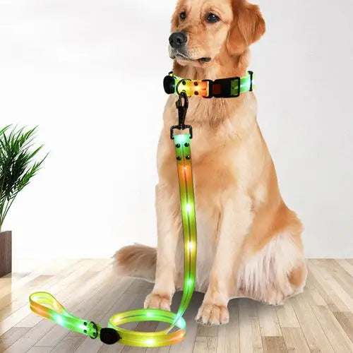 Rechargeable LED Dog Collar Leash Waterproof Glow-in-the-Dark Nylon Reflective Lights Light up Luminous Dog Walking Gear