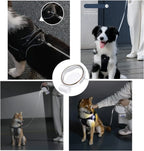 Retractable Dog Leash with LED Light Walking Leash Outdoor Running Pet Leash with Dispenser for Small Dog Products up to 20lbs