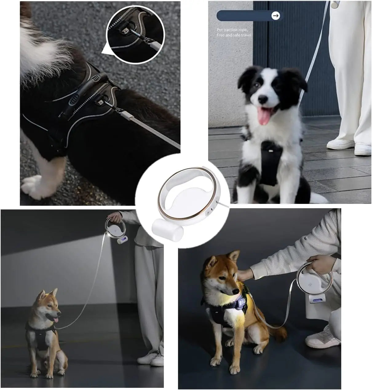 Retractable Dog Leash with LED Light Walking Leash Outdoor Running Pet Leash with Dispenser for Small Dog Products up to 20lbs