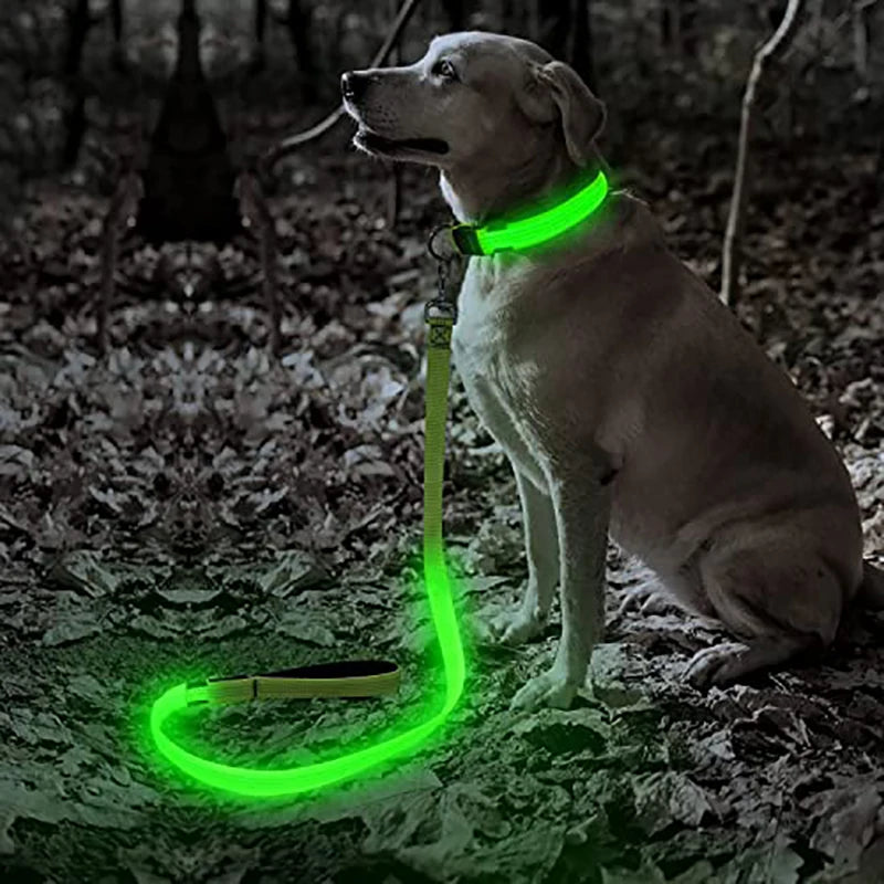 LED Dog Leash Light up Dog Leash USB Rechargeable Solid Nylon Webbing Glow Safety Standard Pet Leash for Dog Products