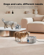 OEM 3.2L Automatic Eco-Friendly Cat Water Fountain with Quiet Stainless Steel Ball and Water Level Window Pet Water Fountain
