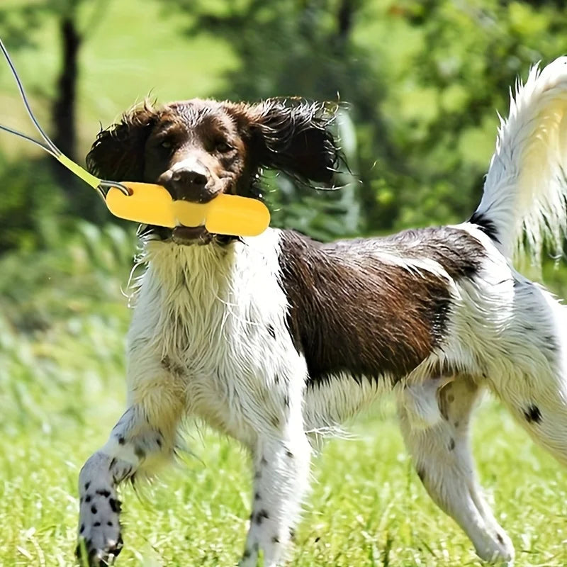 Floating Dog Chew Toy with Rope Durable Water-Resistant Interactive Training Toy for All Breeds Dogs Summer Outdoor Dog Toys