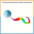 New Pet Cat Dog Balls Juguetes Para Mascotas Gatos Interactive Cat Toy Ball Katzenspielzeug Pet Cat Interactive Ball Toy