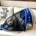 Wholesale Cat Backpack Pet Carriers Collapsible Cats Shoulder Bag Ventilate Transparent Foldable Carries Travel Cat Bed