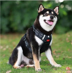 Pet Custom Dog Harness No Pull Fabric Breathable and Reflective Soft Chest Strap Vest Harness for Small Medium Large Dogs