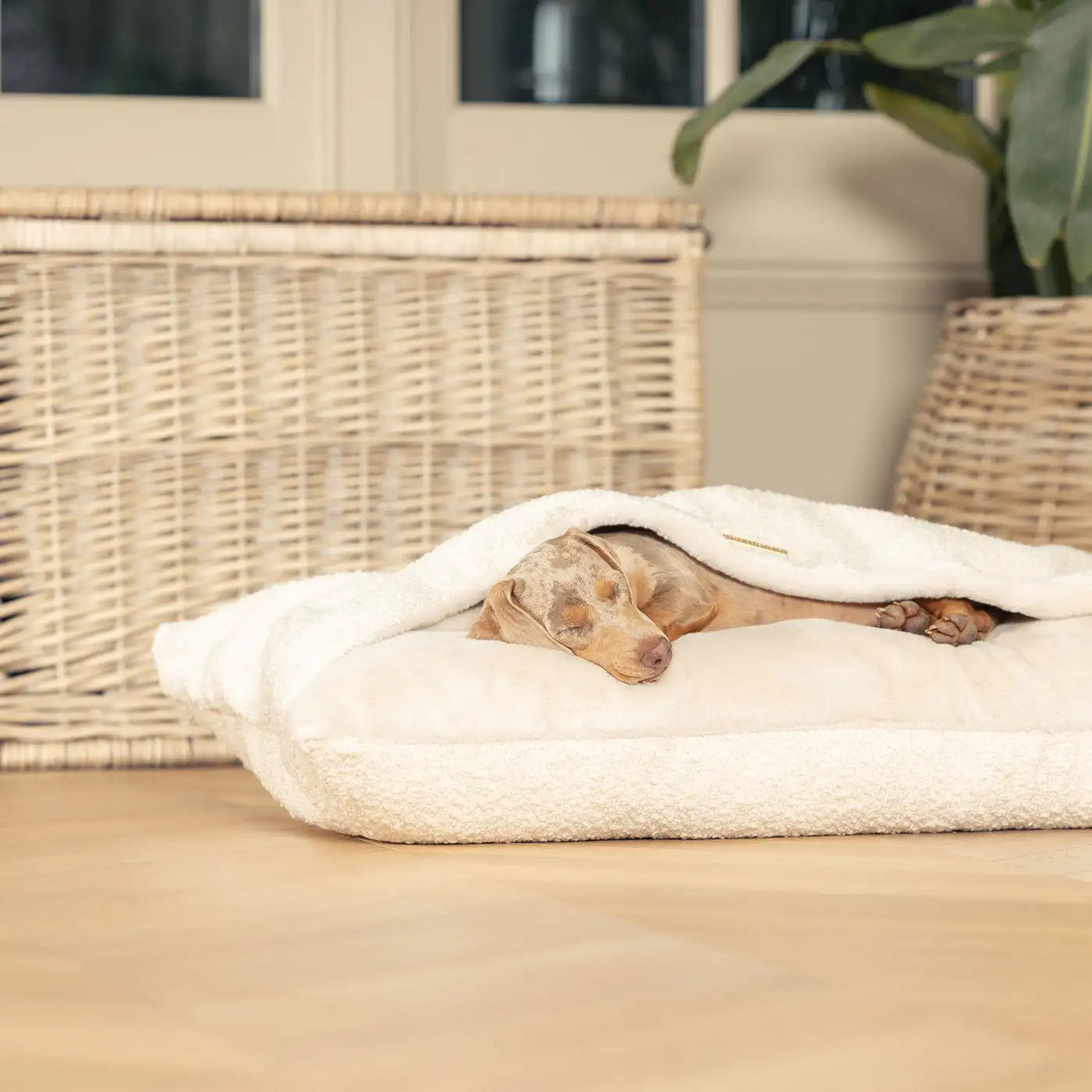 Cozy Cat Nest Pet Bed Winter Warm Semi-Closed Cotton Linen Modern Removable Washable Koala Pocket Bed for Cat Sleeping Summer