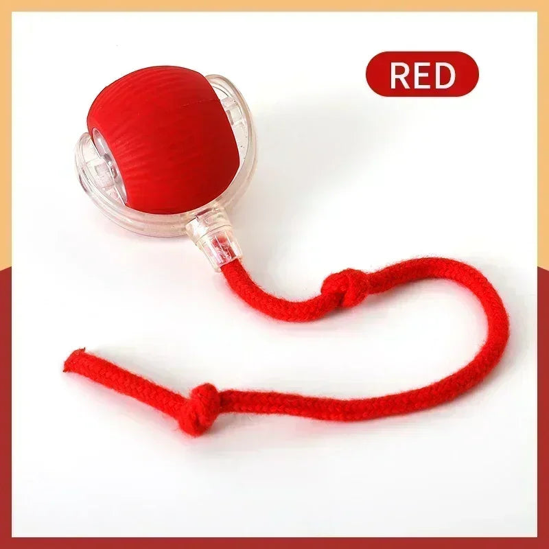 Interactive Cat Ball Toy Automatic Rolling Ball with Tail Rechargeable Smart Pet Interactive Toy Intelligent Mouse for Cat