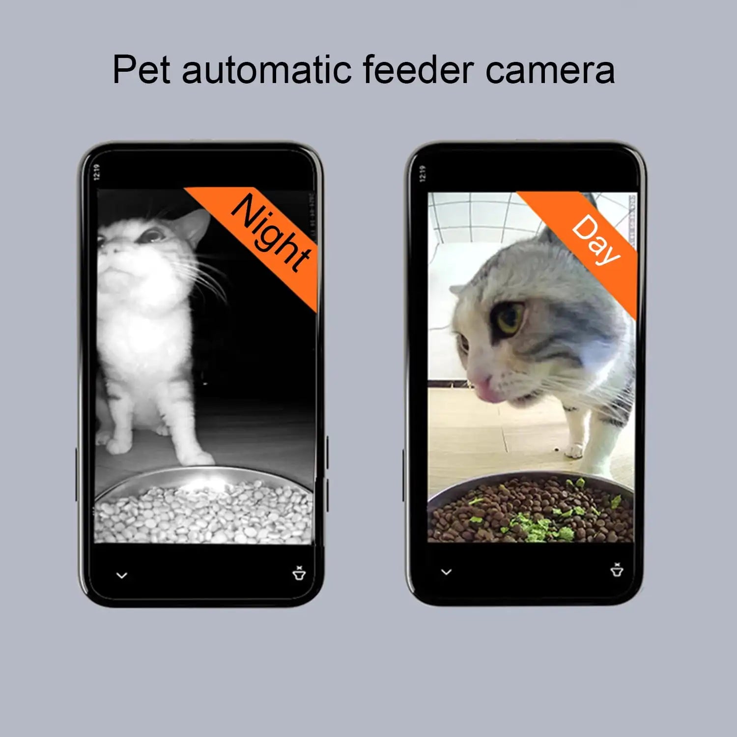 4L Automatic 2-in-1 Pet Feeder Night Vision Camera WIFI Remote APP Timed Quantified Dog Supplies Plastic Charge Power Source