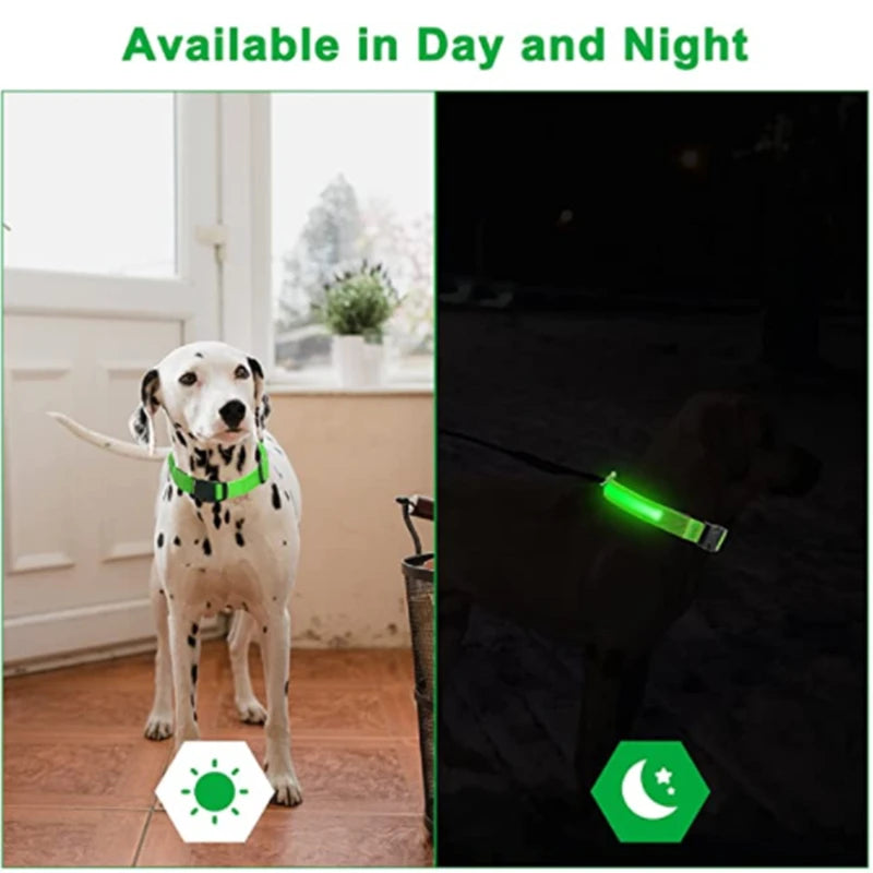 LED Glowing Dog Collar Adjustable Flash Recharge Luminous Collar Night Anti-Lost Dog Light for Small Dog Electronic Pet Products