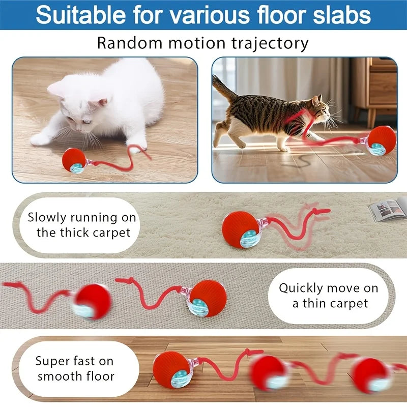 Electric Cat Toy Ball with Tail Rope 300mah USB Rechargeable Self-Moving Rolling Robot Mouse for Indoor Exercise for Kitten