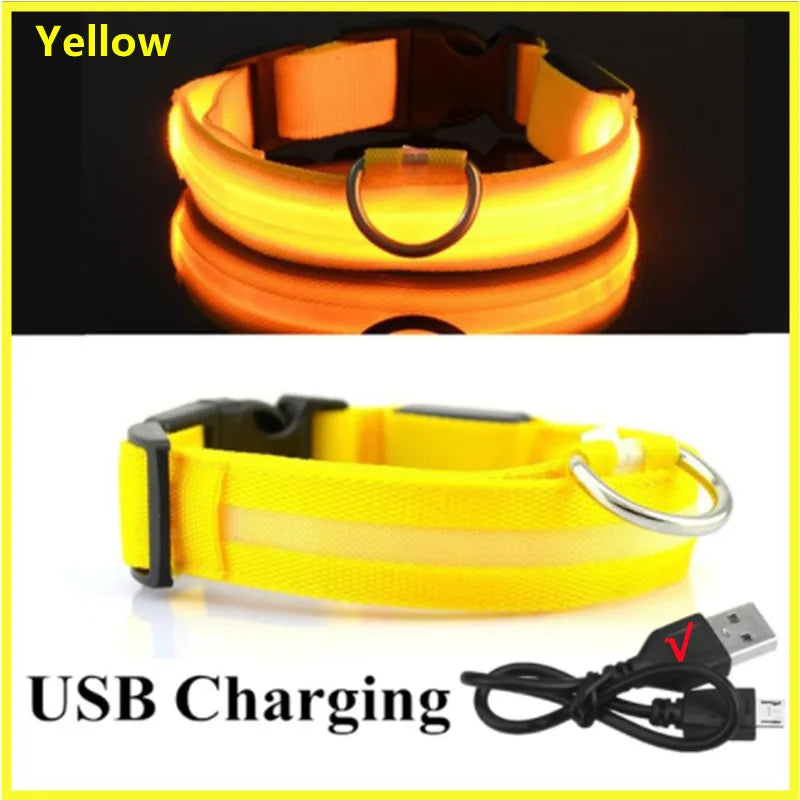 Nylon LED Pet Dog Collar Night Safety Flashing Glow in the Dark Dog Leash Dogs Luminous Collars Pet Supplies OEM Custom LOGO