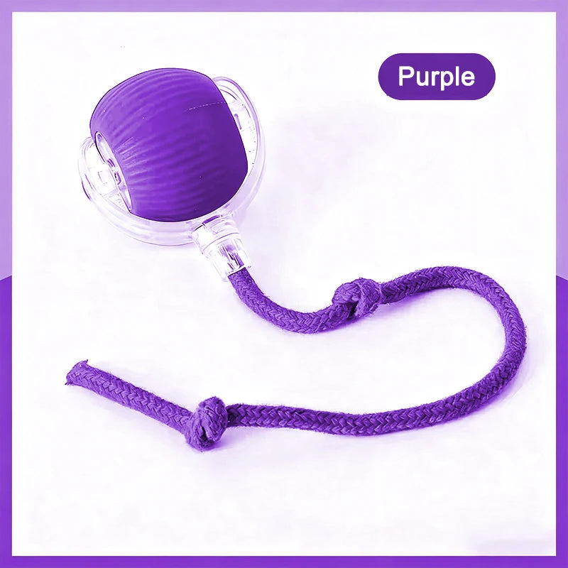 Interactive Cat Ball Toy Automatic Rolling Ball with Tail Rechargeable Smart Pet Interactive Toy Intelligent Mouse for Cat