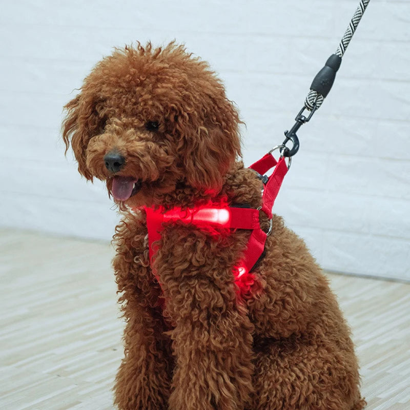 Pet Harness LED Dog Harness Nylon Cat Harness Night Safety Glowing Pet Vest Adjustable Luminous Dog Vest Dog Products