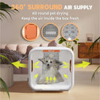 Automatic Pet Dryer Box for Cat Small Dogs Pet Shop Quiet Dog Hair Dryer 71L Capacity with Smart Temperature Control 360 Drying