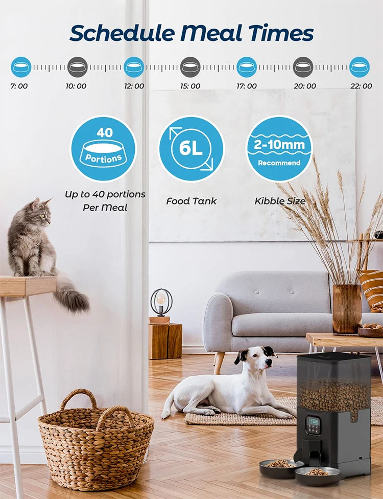 OEM 6L Automatic Cat Feeder for Two Cats with Stainless Steel Bowls LCD Display USB Charging Memory Function Smart Pet Feeder