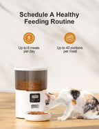 OEM 4L Automatic Cat Feeder Button Control Smart Cat Feeder Slow Pet Food Dispenser Time Seting Smart Pet Feeder Manufacturer