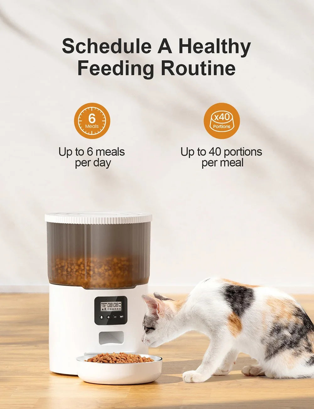 OEM 4L Automatic Cat Feeder Button Control Smart Cat Feeder Slow Pet Food Dispenser Time Seting Smart Pet Feeder Manufacturer
