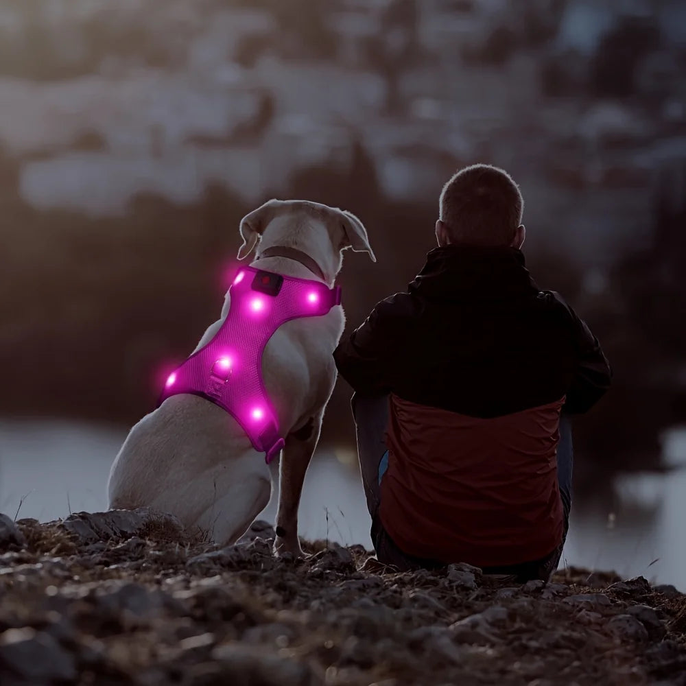 Light up LED Dog Harness No Pull Rechargeable Dog Vest with Detachable Battery Washable Nylon Harness for Small Medium Large Dog