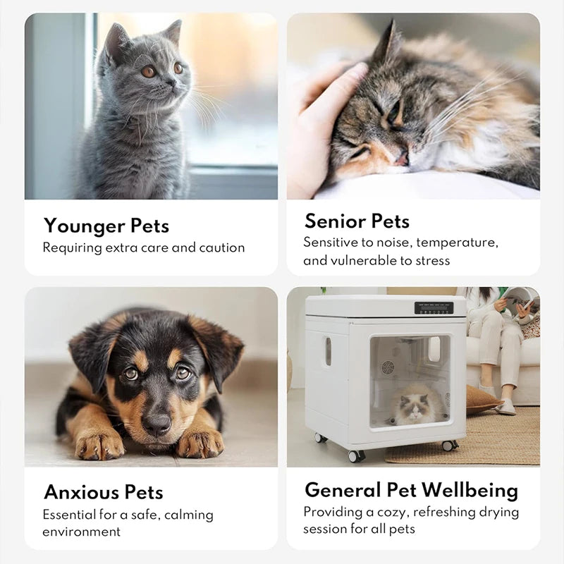 100L Foldable Automatic Plastic Pet Dryer Box for Dogs & Cats Professional Dog Grooming Hair Dryer 110-240V
