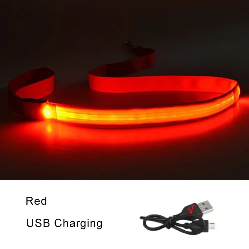 LED Dog Leash Light up Dog Leash USB Rechargeable Solid Nylon Webbing Glow Safety Standard Pet Leash for Dog Products