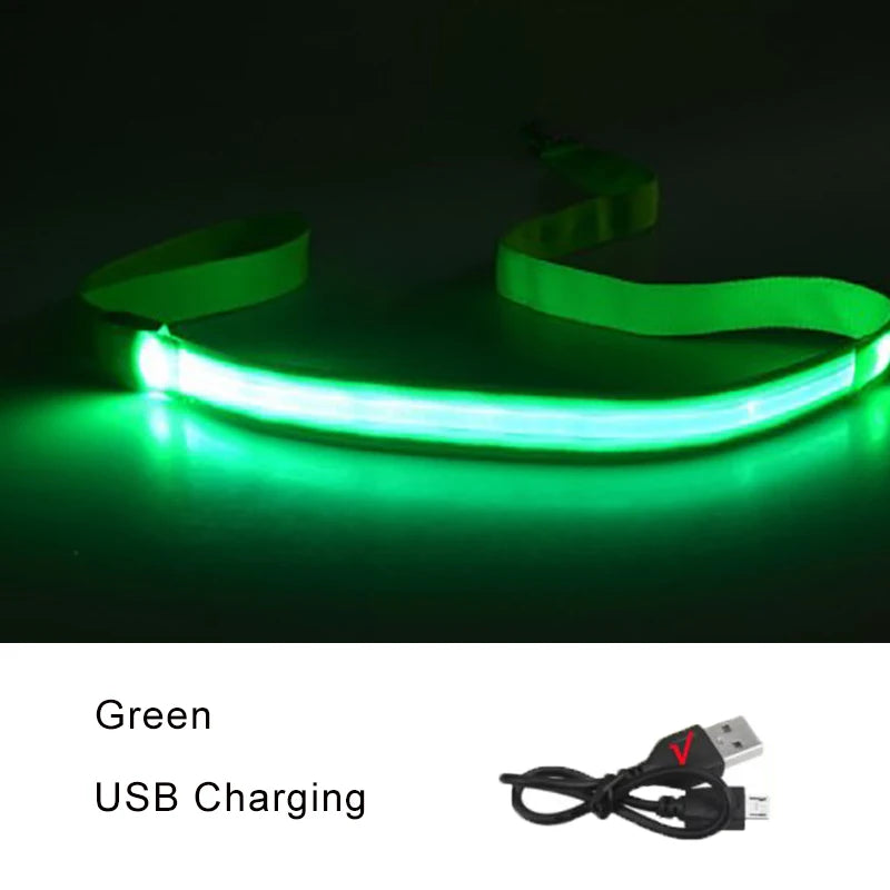 LED Dog Leash Light up Dog Leash USB Rechargeable Solid Nylon Webbing Glow Safety Standard Pet Leash for Dog Products