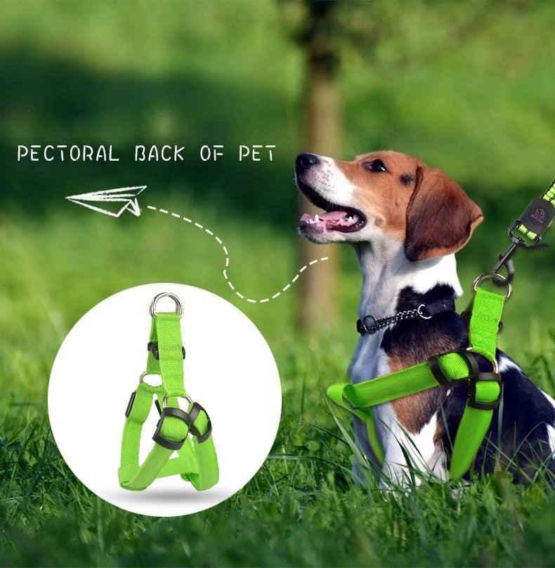 LED Reflective Dog Harness with Lights Nylon Button Battery Pet Safety Vest Adjustable Glowing Dog Harness