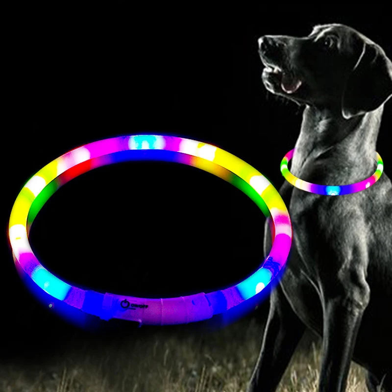 Adjustable LED Glowing Dog Collar Rechargeable Anti-Lost Night Light Harness Luminous Nylon Dog Supplies with Flashing Feature