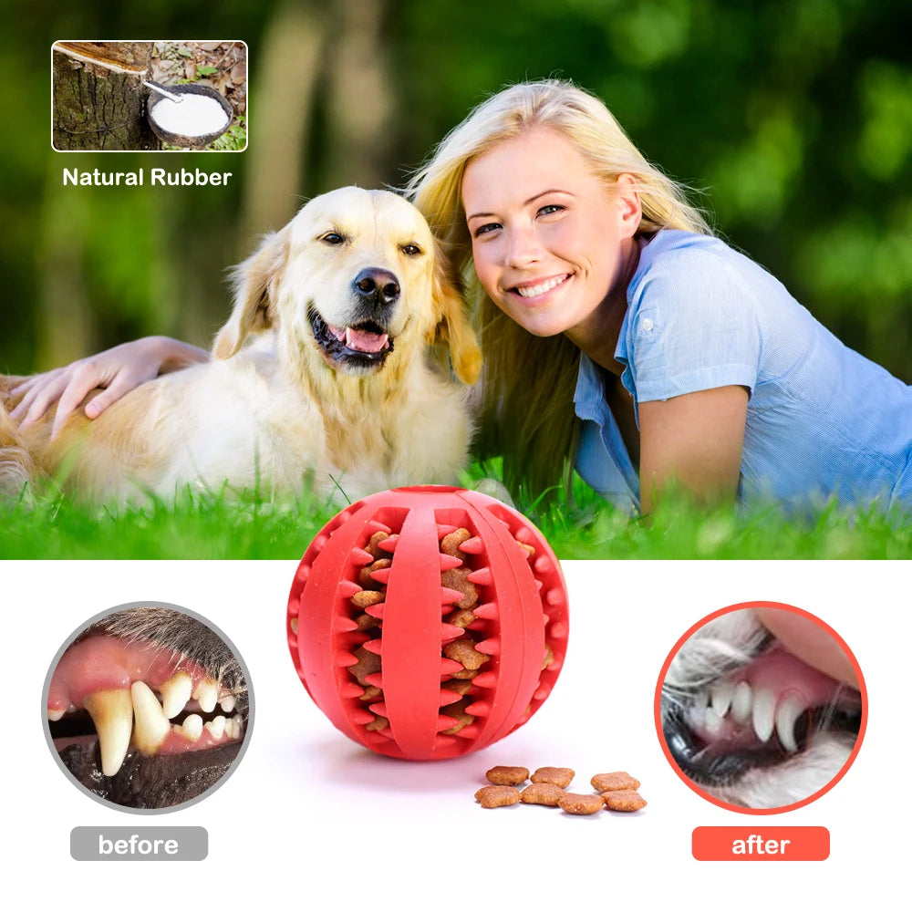 Pet Interactive Dog Toy Rubber Balls for Small Large Dogs Puppy Pet Chew Toys Pet Teeth Cleaning Dog Food Ball Toys
