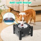Stainless Steel Elevated Dog Bowls Adjustable Raised Pet Water Bowl Non-Slip Puppy Cat Slow Water Feeder 2.2L/75oz No Wet Mouth
