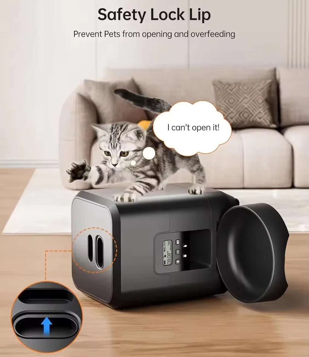 OEM 2L Button/WIFI Control Smart Pet Feeder Automatic Cat Feeder Cat Dog Dry Food Dispenser Timed Button Pet Feeder Manufacturer
