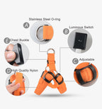 LED Reflective Dog Harness with Lights Nylon Button Battery Pet Safety Vest Adjustable Glowing Dog Harness