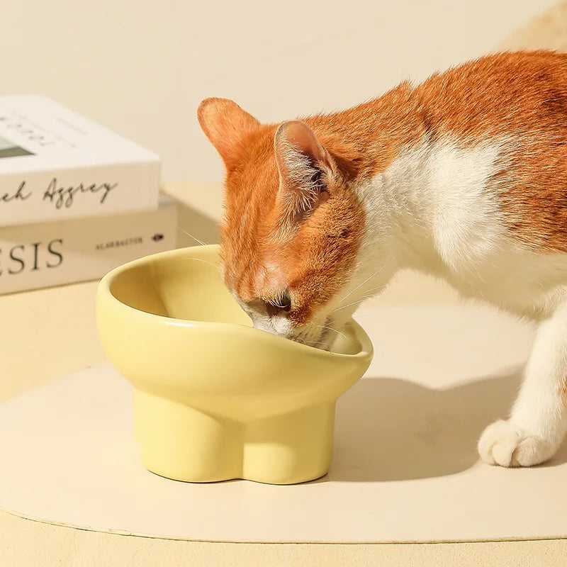 Ceramic Extra Wide Elevated Cat Food Bowl Ceramic Cat Bowls for Food and Water Wide Shallow Cat Food Dish Great Height