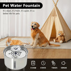 Wholesale 3L Pet Water Dispenser 304 Stainless Steel Cat Water Fountain Smart  Dog Feeding Pet Supplies