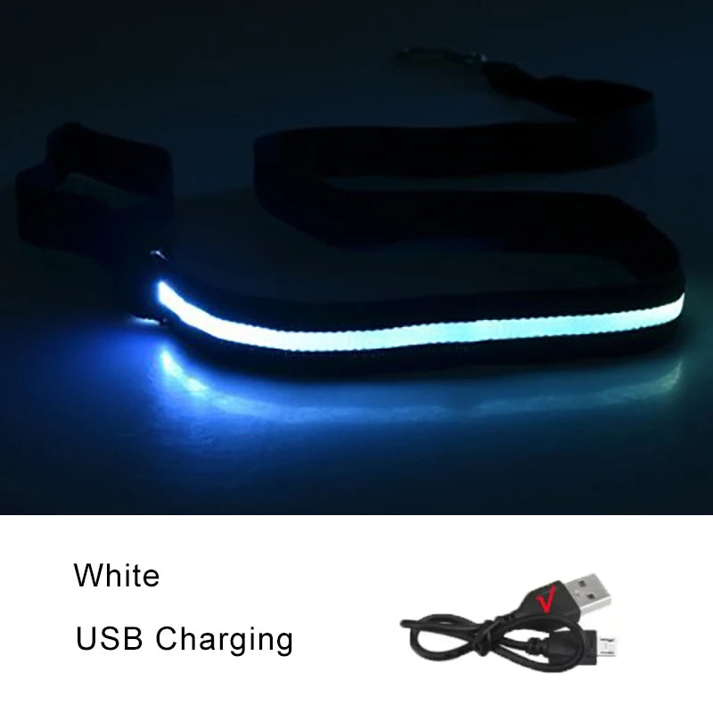 LED Light up Dog Leash Luminous Rope Lead Leash Dog Safety Flashing Glowing LED Dog Leash Collar Electronic Pet Accessories