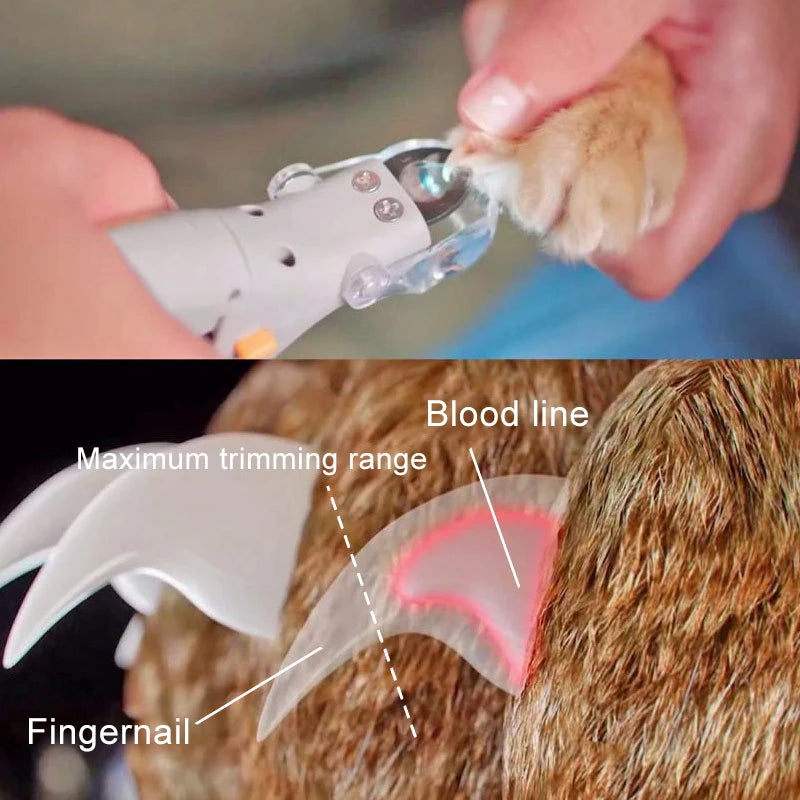 Electronic Pet Cat Nail Cut With LED Lighting Trimming Cats Dogs Nails Claws 5X Magnification Doubles Nail Trapper Safety