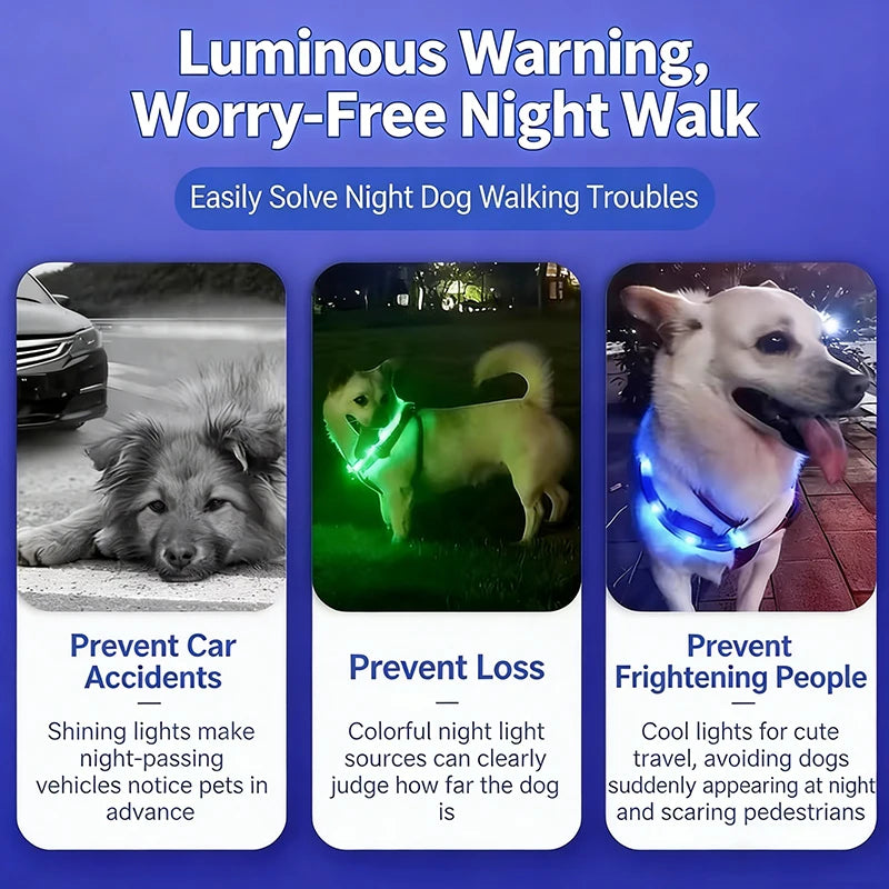 Adjustable LED Glowing Dog Collar Rechargeable Anti-Lost Night Light Harness Luminous Nylon Dog Supplies with Flashing Feature