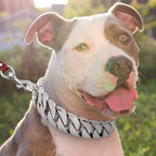 Luxury Gold Chain Dog Collars Heavy-Duty Pet Collars Choke Cuban Dog Chain for Large Dog Products