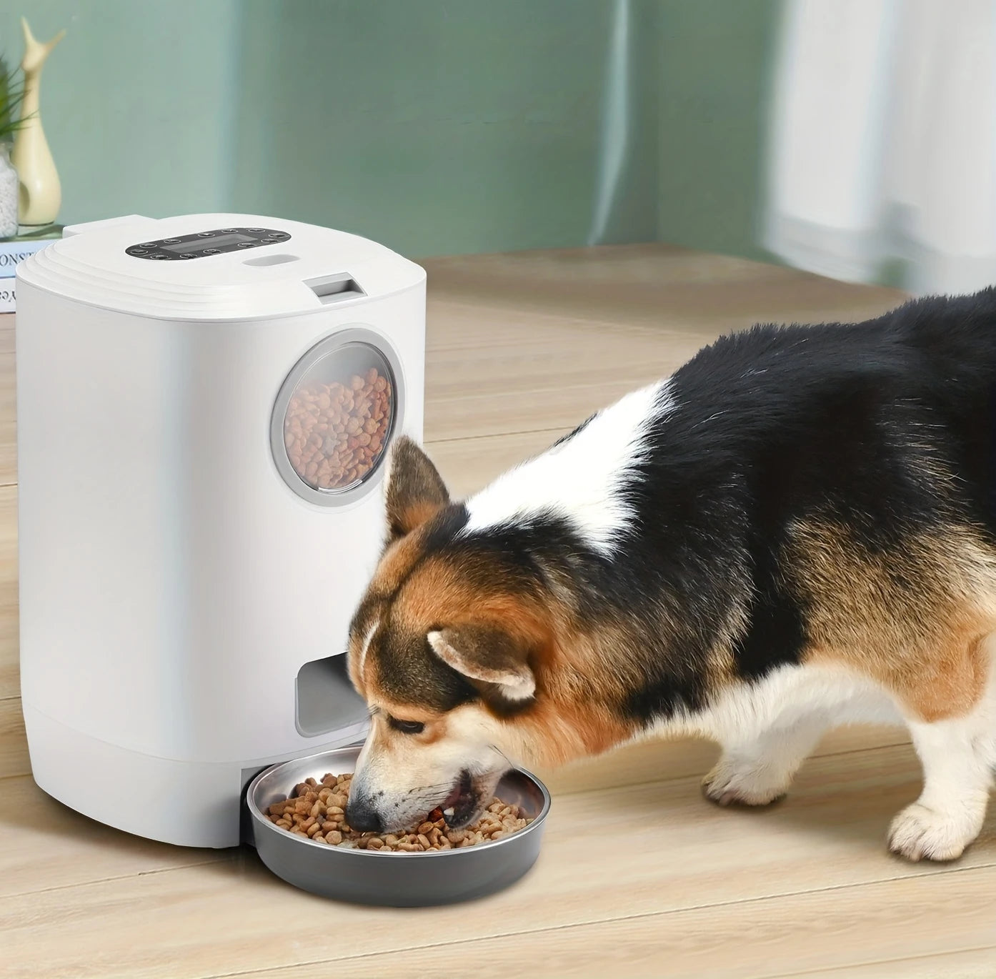 4.5L Automatic Dog Feeder Smart Pet Feeder for Cat and Dogs Auto 4 Meals Feeding Button Control Smart Dog Feeder