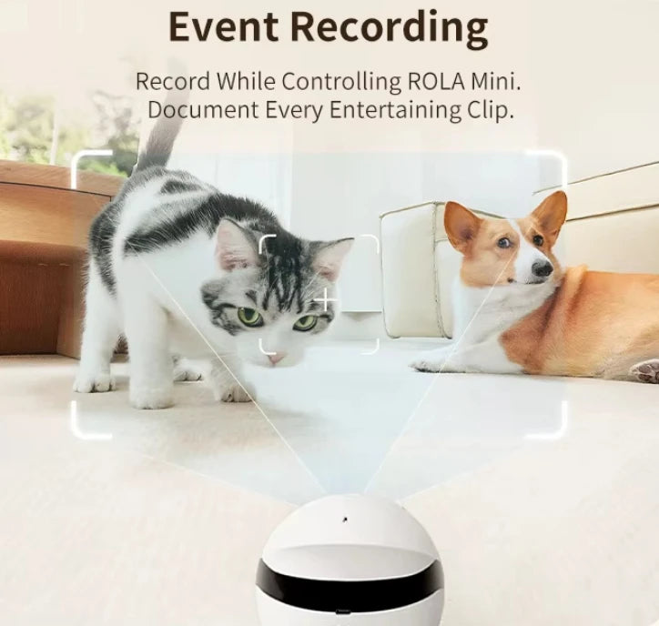 Indoor Cat Toy with Pulley and HD Camera Two-way Voice Call & Privacy Management Smart Robot Interactive Cat Toys