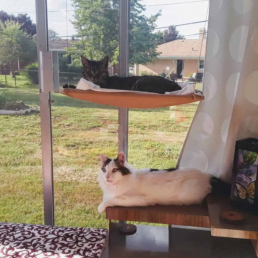 Cat Hammock Kitty Resting Seat Cats Bed Kitty Safety Bed with Durable Heavy Duty Suction Cup Cat Products Cat Window Perch