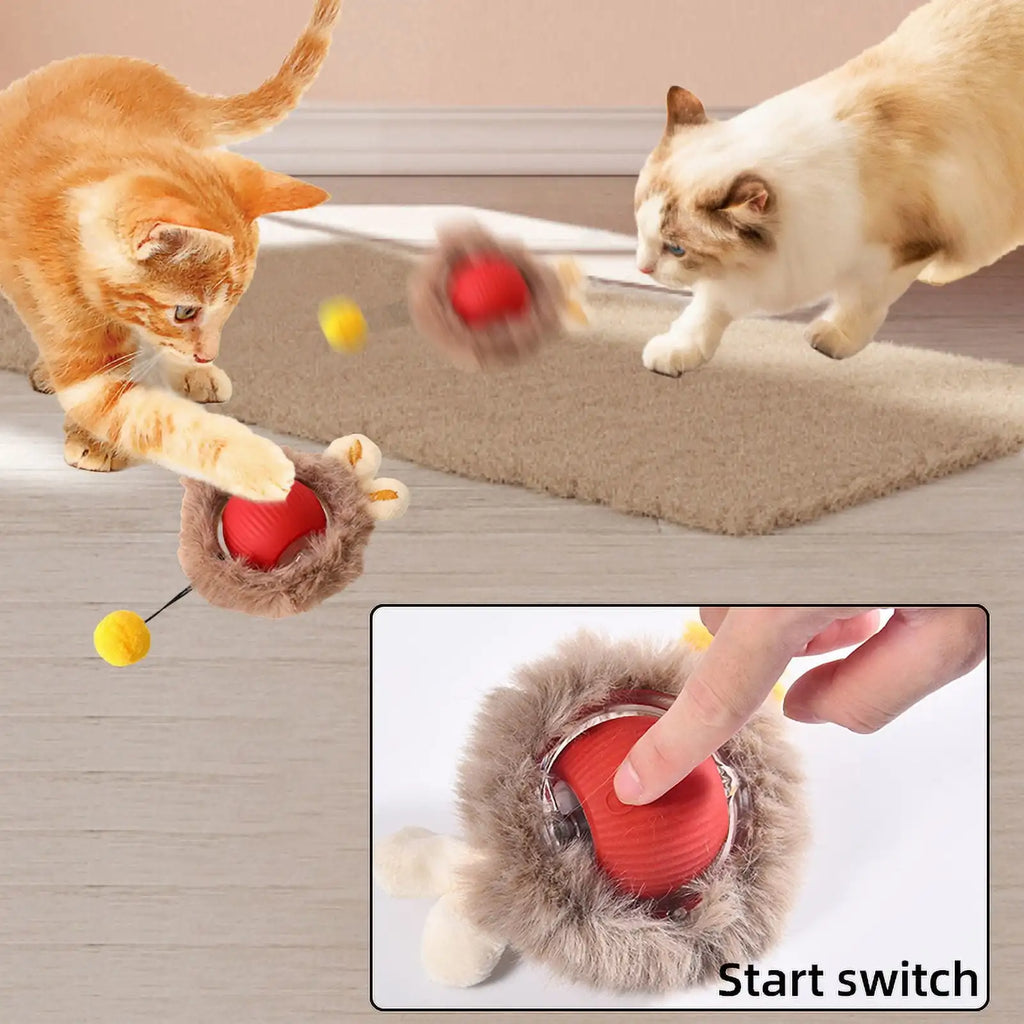 Rechargeable Electric Indoor Interactive Cat Toy Kitten Motion-Activated Hide Seek Toy with Plastic Hiding Cover Exercise Toy