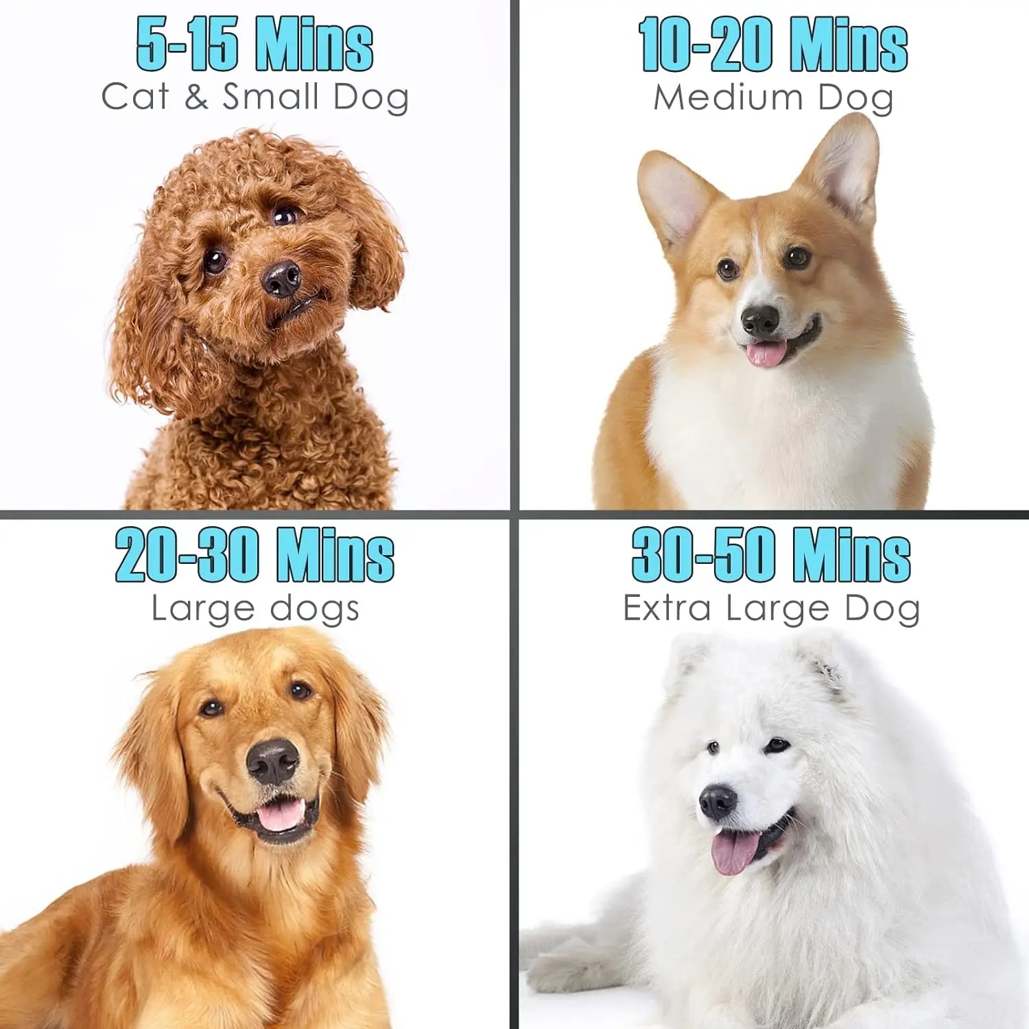 Dog Hair Dryer 3.2HP Stepless Adjustable Speed Pet Grooming Dryer High Velocity Pet Hair Dryer for Dogs with 4 Different Nozzles
