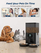 OEM 6L Automatic Cat Feeder for Two Cats with Stainless Steel Bowls LCD Display USB Charging Memory Function Smart Pet Feeder