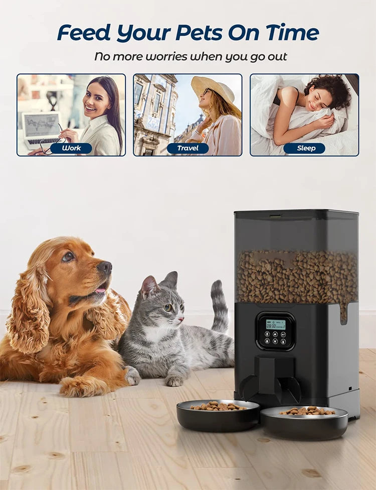 OEM 6L Automatic Cat Feeder for Two Cats with Stainless Steel Bowls LCD Display USB Charging Memory Function Smart Pet Feeder