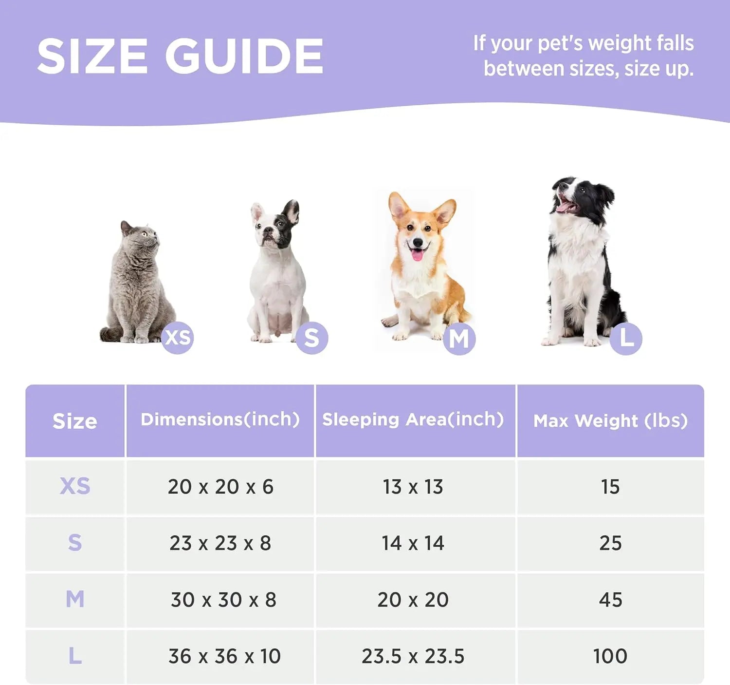 Donut Small Dog Bed Round Cat Beds for Indoor Cats Anti-Anxiety Calming Pet Beds Washable Cute Modern Cat Nest