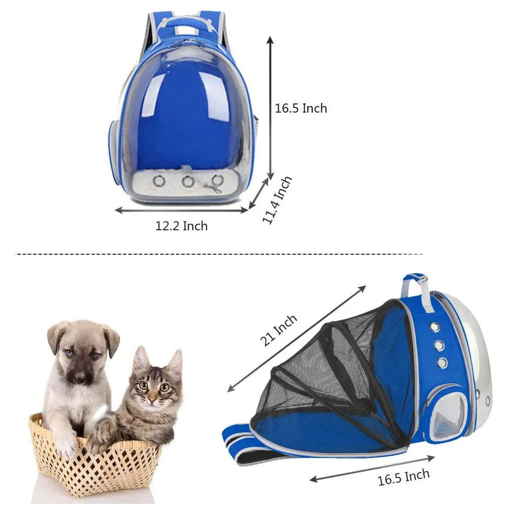 Wholesale Cat Backpack Pet Carriers Collapsible Cats Shoulder Bag Ventilate Transparent Foldable Carries Travel Cat Bed
