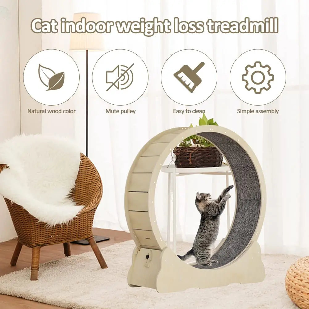 Cat Exercise Wheel Indoor Toy Cat Interactive Toys Large Cat Running Wheel with Carpeted Runway Pet Supplies