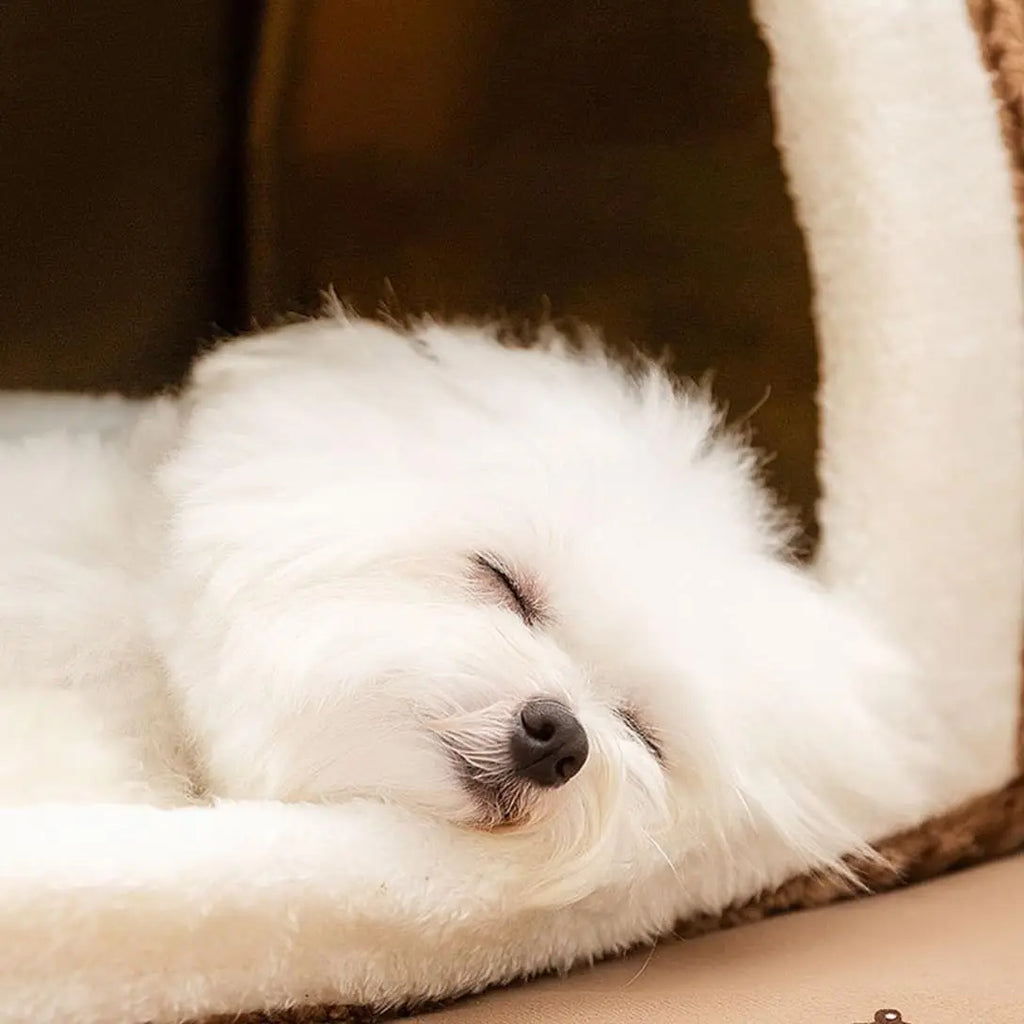 CozyPet Modern Fashion Dog House with Cushion Comfortable Bed for Small Medium Large Dogs Winter Solid Pattern Square PET House