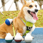Design Dog Portable Dog Water Dispenser Teardrop Shape Lightweight Plastic Dog Bottle for Travel and Outdoor Activities OEM