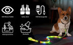 Rechargeable LED Dog Collar Leash Waterproof Glow-in-the-Dark Nylon Reflective Lights Light up Luminous Dog Walking Gear